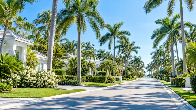 Illustrative Florida residential street lined with palms